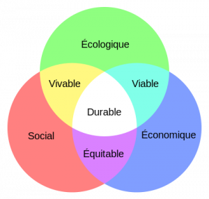 Diagramme du développement durable Source : Wikimedia Communs 